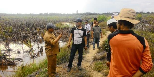 200 Hektare Lahan di Rawa Seribu Mahato Diusulkan Jadi Sawah