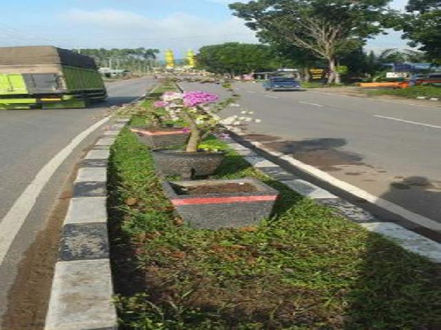 Kepala DPKP Sesalkan Tanaman Bunga di Jalan Jalur Dua Banyak yang Hilang