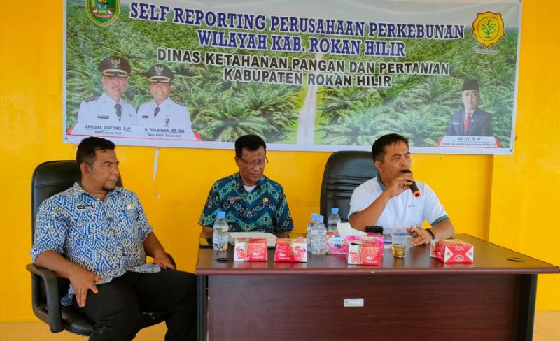 DKPP Rohil Sosialisasikan Sef Reporting Aplikasi Siperibun ke Perusahaan Perkebunan