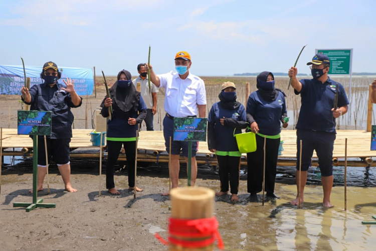 Program Padat Karya Mangrove untuk Pemulihan Ekonomi Nasional