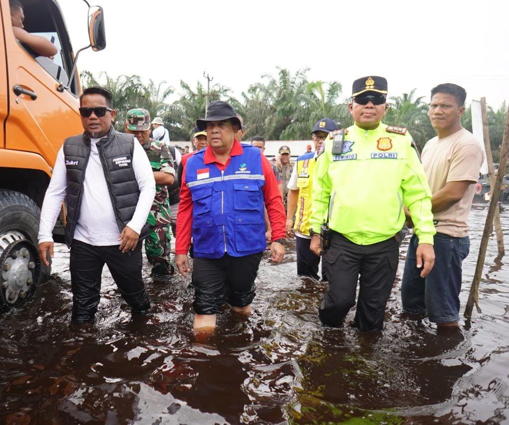 Gubernur Edy Natar Nasution Tinjau Lokasi Banjir di Pelalawan