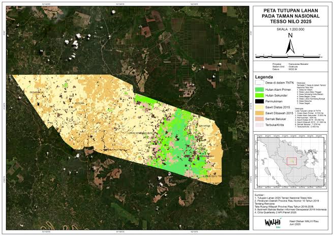 Dua Cukong Perambah TNTN Diringkus