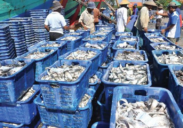 Pasokan Ikan  di Pasar Terubuk  Relatif Stabil
