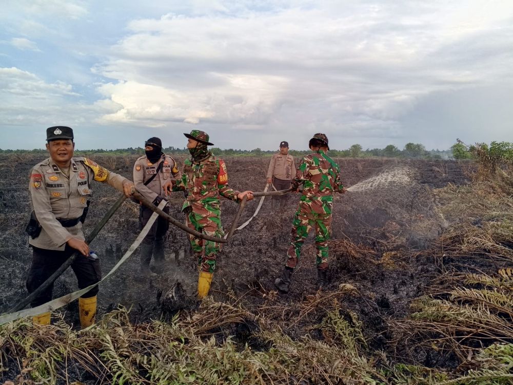 10 Hektar Lahan di Rohil Tebakar, Satu Orang Diamankan