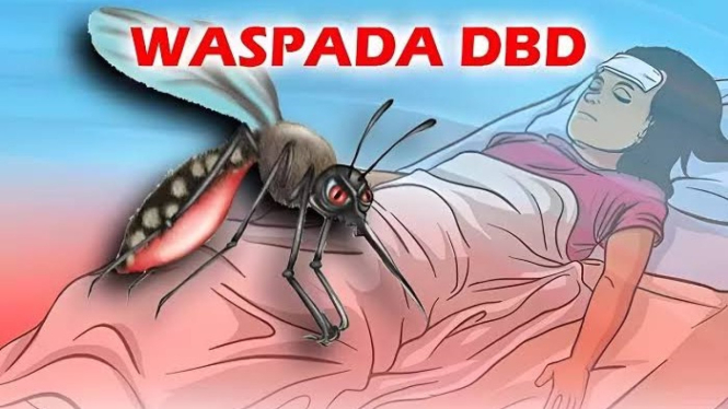 Kasus Demam Berdarah Makan Korban Jiwa di Meranti