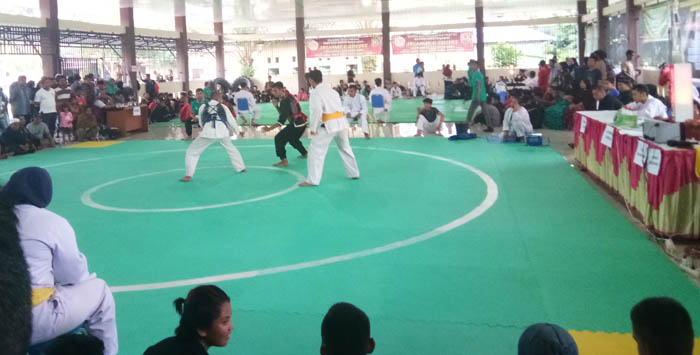 153 Pesilat Berlaga di Kejurkab Pencak Silat IPSI Kampar