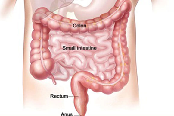 Lewat Tinja, Ilmuwan Temukan Cara Deteksi Penyebaran Virus Corona Gelombang Kedua