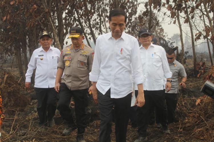 Presiden Jokowi Pastikan Upaya Pencegahan Karhutla Lebih Penting