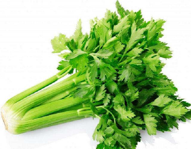 3 Khasiat Seledri Untuk Kesehatan Tubuh