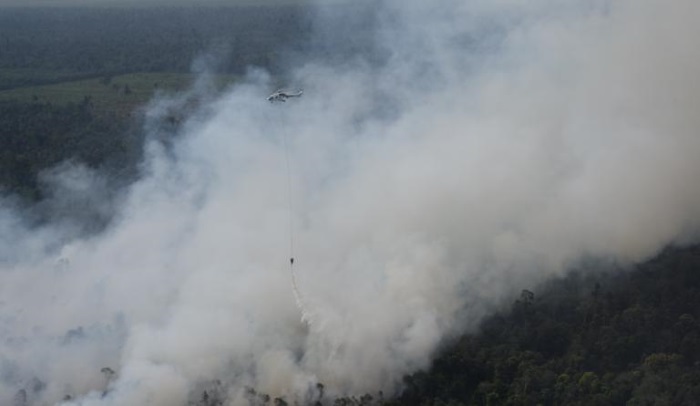 Langganan Bencana Asap, Usulan Anggaran BPBD Riau Hanya Rp500 Juta