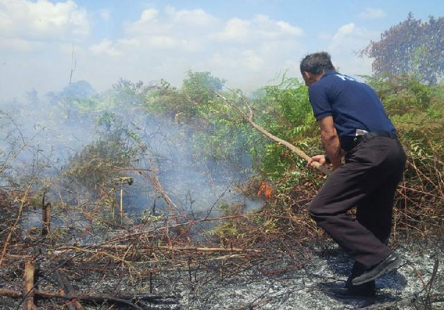 Puluhan Hektare Lahan di Siak Terbakar