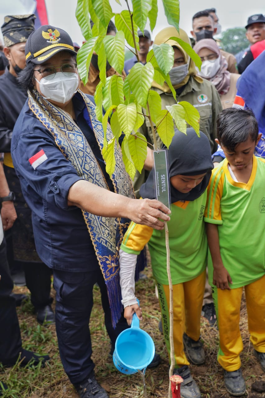 Menteri LHK Tanam Pohon di Inhu, Dukung Pemberdayaan Suku Talang Mamak dan Melayu Tua