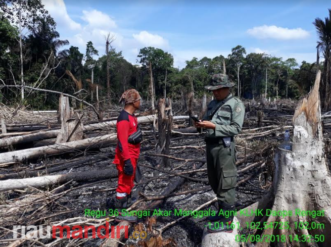 Seluas 2 Hektare Lahan TNBT di Inhu Terbakar