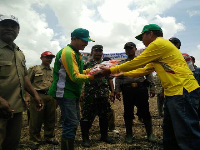BP2KP Inhil Tanam Jagung Serentak di Kecamatan Reteh