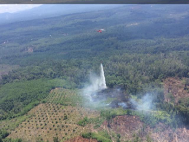 Giliran Hutan Lindung Batang Ulak Dilalap Api