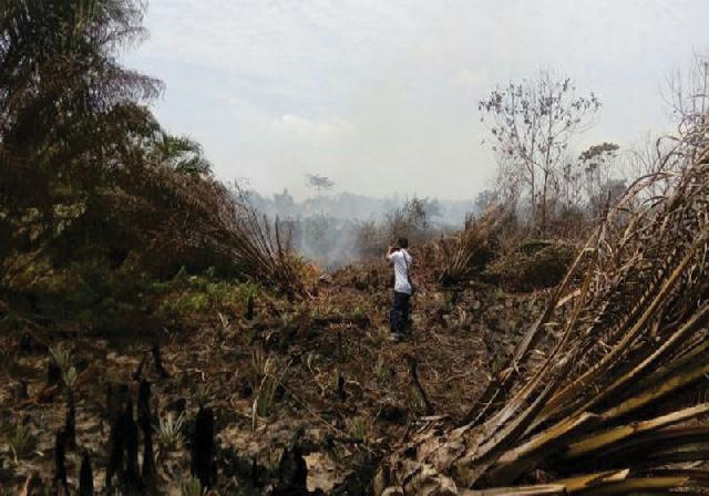 Dinas Pertanian Imbau Petani tidak Melakukan Pembakaran