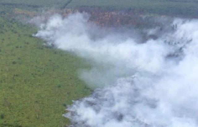 BMKG Deteksi Dua Titik Panas di Riau