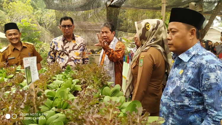 Dua Kecamatan di Rohil Wakili Riau Ikut Lomba Toga Nasional