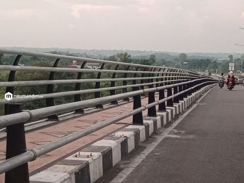 Pemprov Riau akan Bangun 11 Jembatan, Berikut Lokasinya