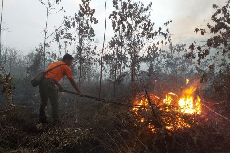 Berhasil Dikendalikan Petugas, Luas Lahan Terbakar di Riau Tahun Ini Menurun
