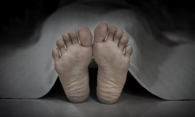 Suami Isteri di Tualang Mandau Diduga Diserang Gajah: Satu Meninggal