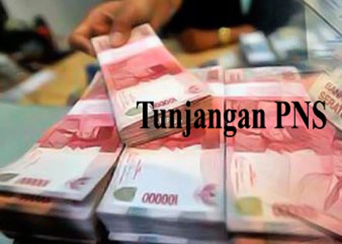 Tunjangan Pegawai Pemko Pekanbaru Terancam di 2026? Ini Sebabnya