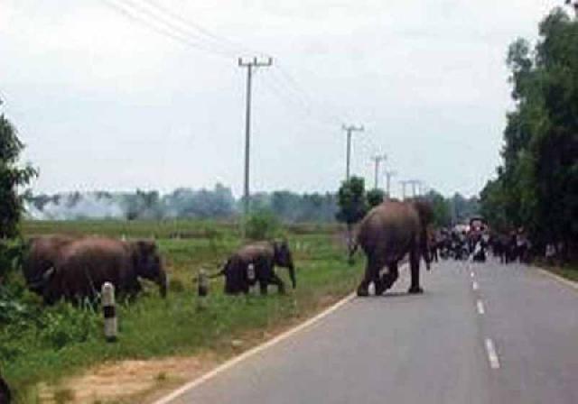 Warga Balairaja Rogoh Kocek hingga Jutaan Rupiah