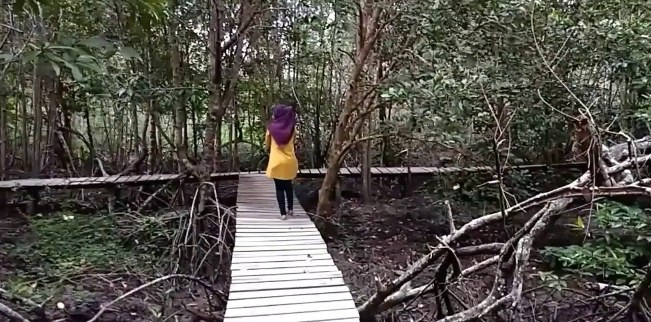 Mahasiswa Kukerta Unri Bikin Jembatan dan Spot Foto di Hutan Mangrove Bantan Timur