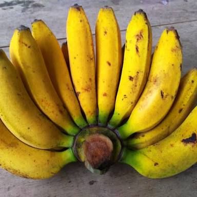 Mantan Anggota DPRD Ini Curi Pisang untuk Makan, Ini Alasannya