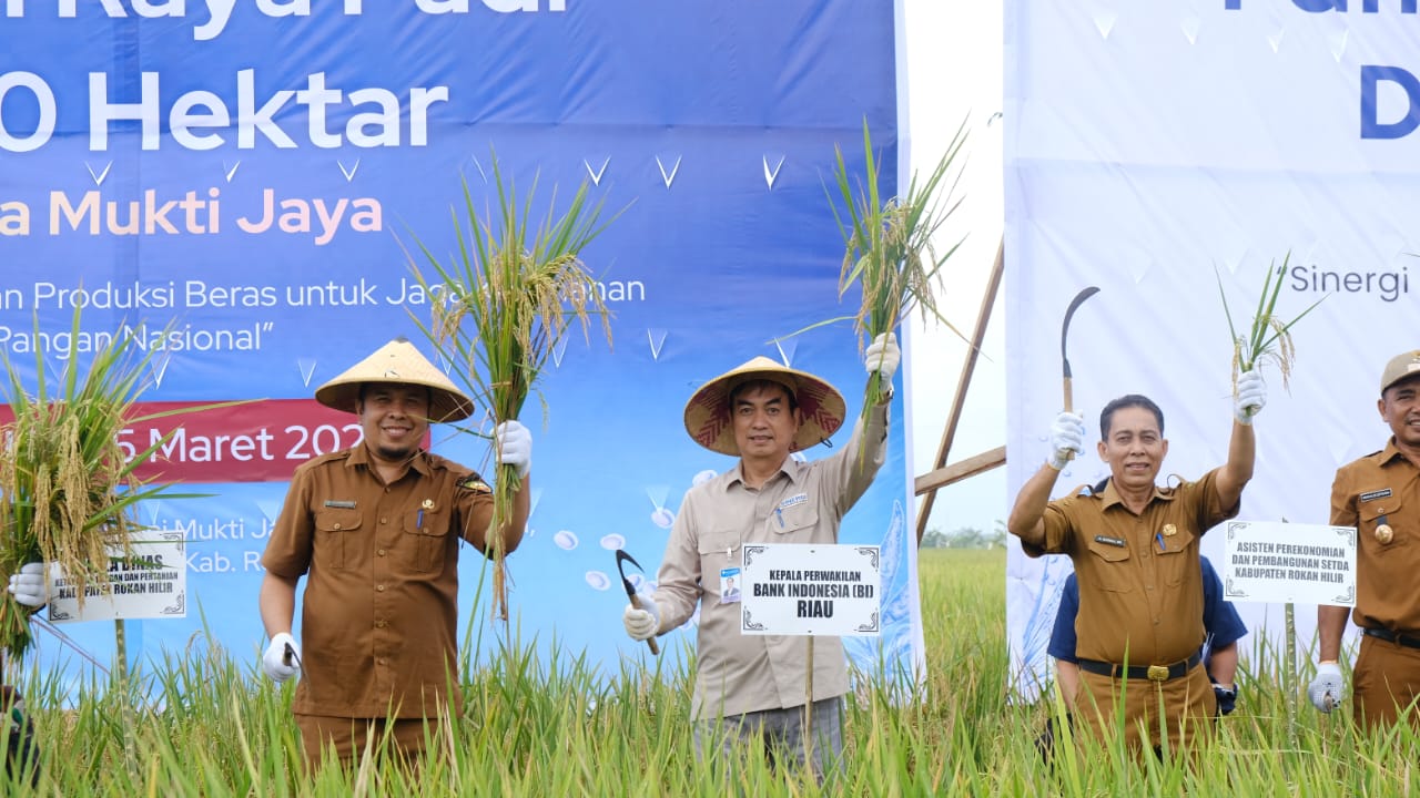 BI Riau Kendalikan Inflasi Melalui Penen Raya