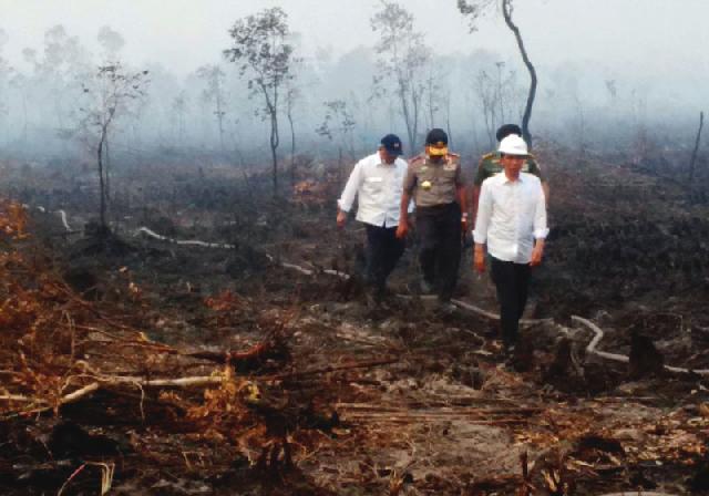 Restorasi 2 Juta Lahan Gambut Selesai 3 Bulan