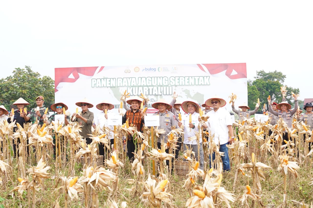 Panen Raya Kuartal III Tahun 2025, Polda Riau Petik 18 Ton Jagung Pipil