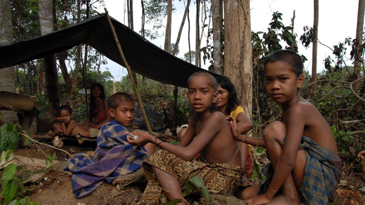 Gubernur Syamsuar Minta Suku Anak Dalam Tak Nomaden
