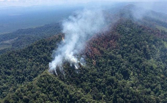 Hutan Lindung Bukit Suligi Terbakar Hebat