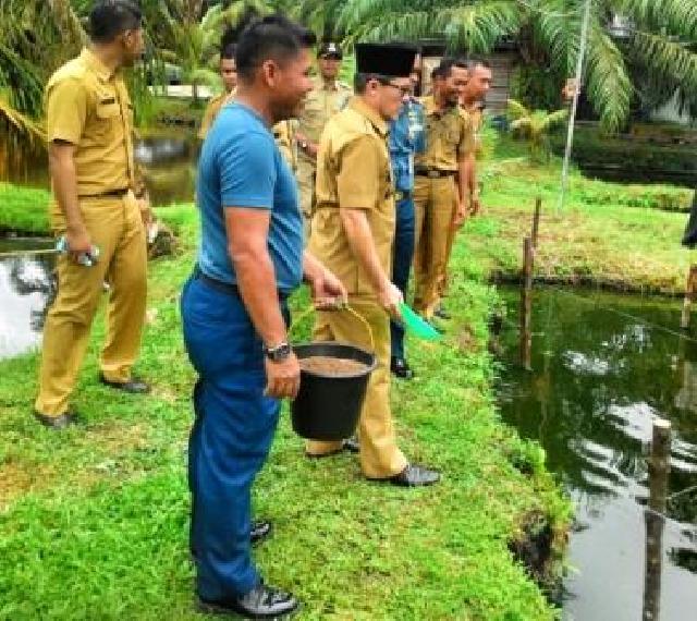 Tinjau Tambak Ikan Air Tawar Binaan Lanal