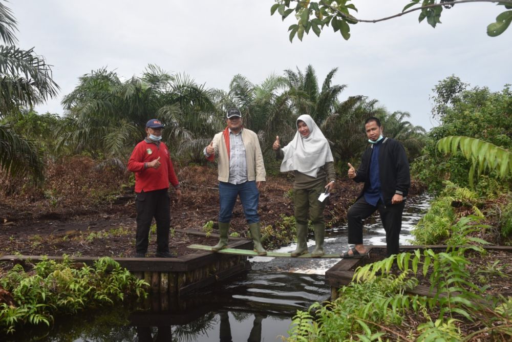 Jaga Kadar Air Tanah Gambut, BRG Bangun 120 Sekat Kanal di Riau