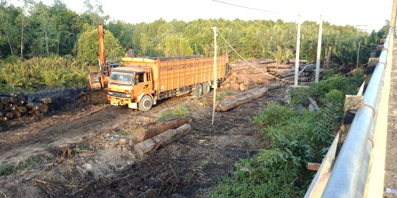 Walah, Ada Aktivitas Pengangkutan Kayu Log di Kampung Sungai Rawa Siak