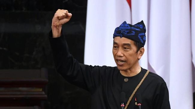 Jokowi Bentuk Badan Pangan Nasional, Ini Tugas dan Fungsinya