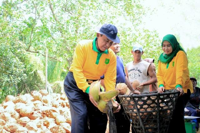 Persiapan Festival Kelapa Internasional Capai 90 Persen
