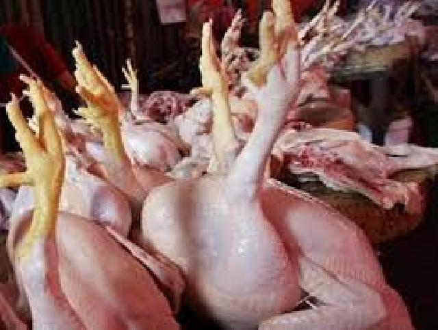 Harga Ayam Potong di Pekanbaru Terus Menanjak