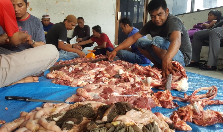 Ketentuan Pembagian Daging Kurban