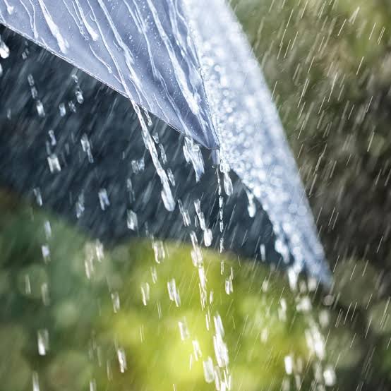 Waspada! Pekanbaru akan Diguyur Hujan Disertai Petir dan Angin Kencang pada Dini Hari