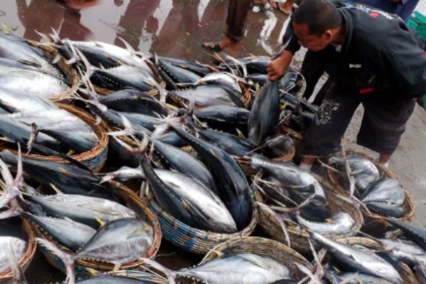 KKP: Tidak Benar Produk Perikanan Indonesia Dilarang China