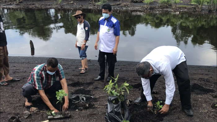 Cegah Abrasi, Tim Kukerta Unri Tanam 400 Mangrove di Dumai