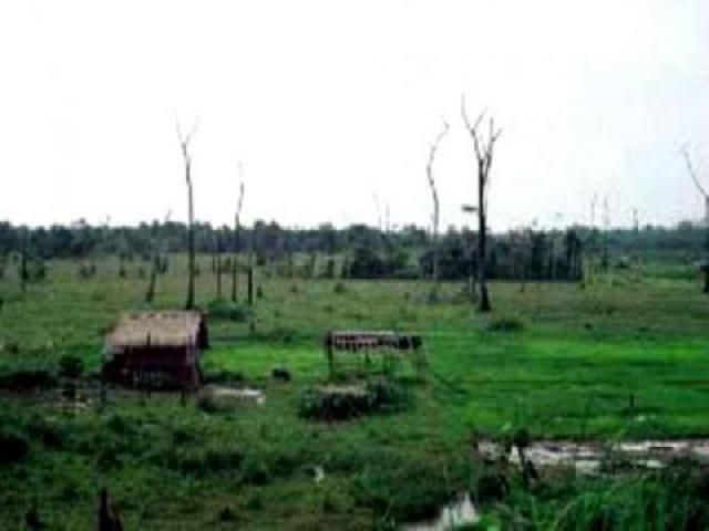 Lahan Kosong Pertamina RU II Pakning Terbengkalai