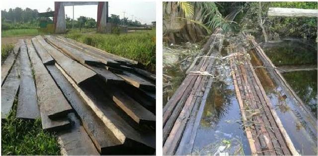 Sekuriti Gagalkan Penyelundupan 14 Ton Kayu Diduga Hasil illegal Logging