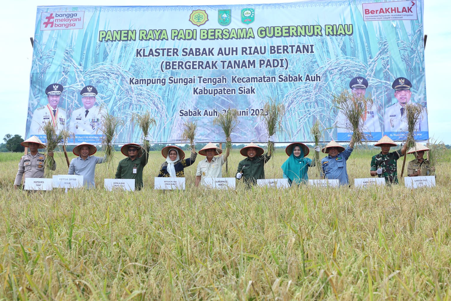 Gubernur Riau Resmikan Panen Raya Padi di Sabak Auh