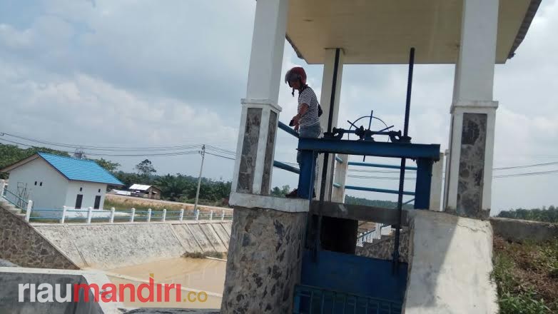 Embung di Perkantoran Pemko Pekanbaru Alami Kerusakan, BWSS III Riau Tak Tahu