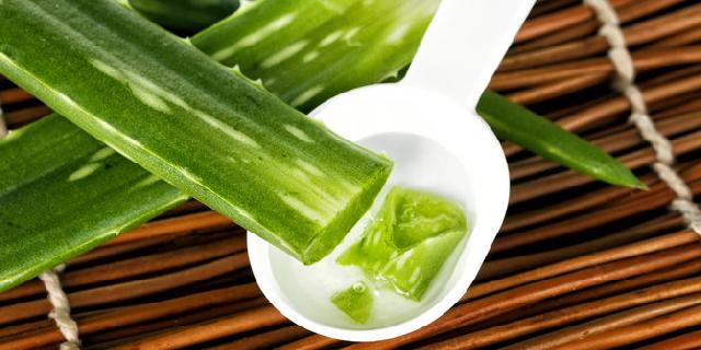 5 Manfaat Sehat Tanaman Lidah Buaya
