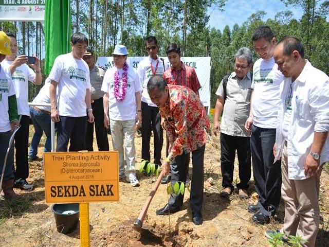 2016 Giam Siak Kecil Bukit Batu Landscape” APP Kembali Tanam Pohon Meranti di Giam Siak Kecil